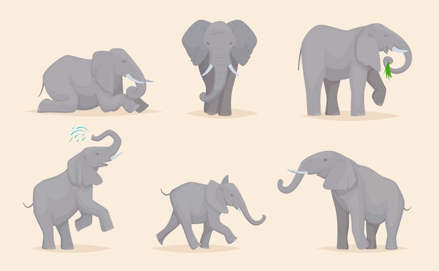 코끼리. 귀여운 아프리카 야생 동물들은 다양한 포즈의 정확한 벡터 삽화를 가진 크고 강한 사바나 코끼리입니다. 아프리카 코끼리, 야생 아프리카 포유류