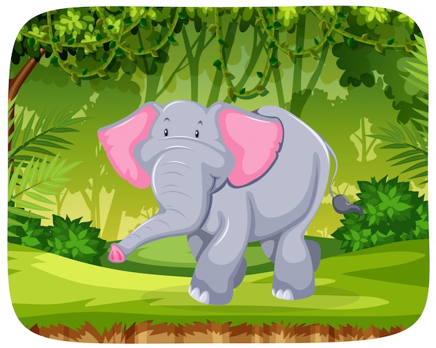 Free vector elephant in the jungle