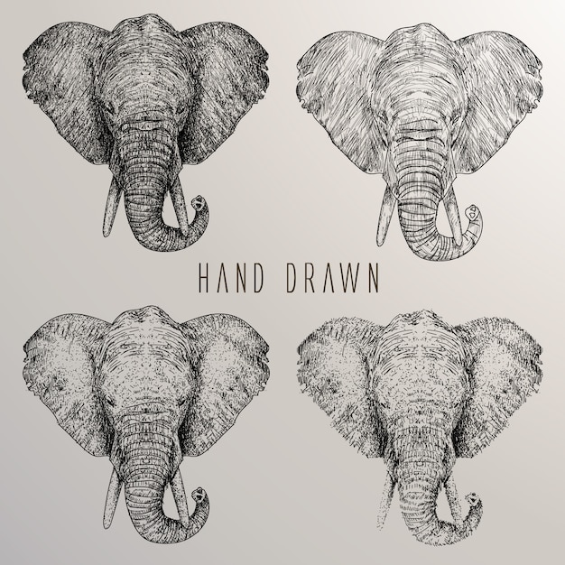 Elephant's head hand drawn collection