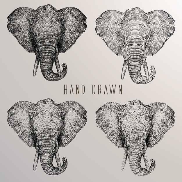 Elephant's head hand drawn collection