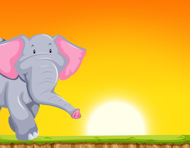 Elephant in sunset scene