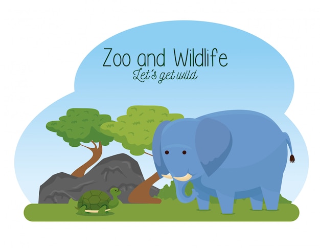 Elephant and turtle wild animals with trees