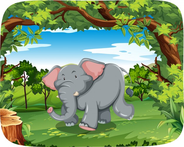Слон в дикой природе