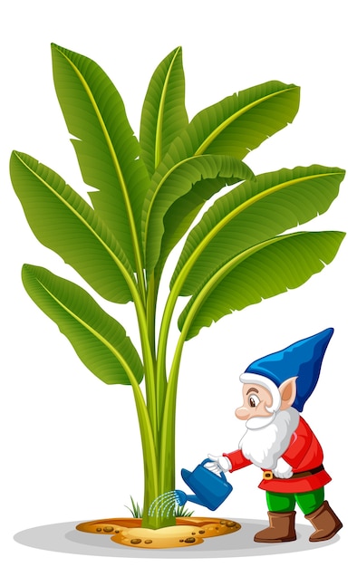 Elf watering banana tree position in cartoon character on white background