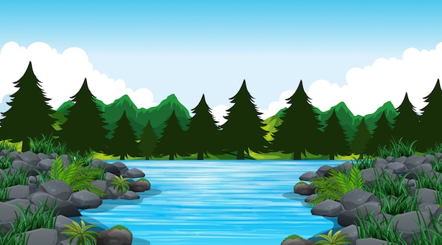 Free vector empty background nature scene or background