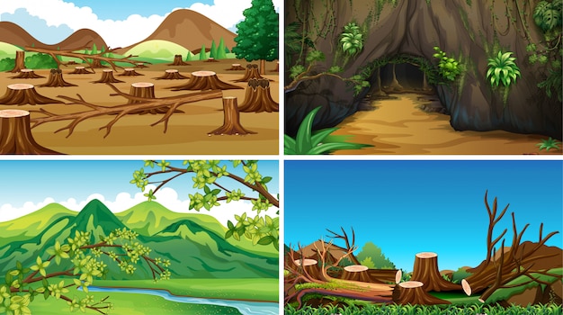 Free vector empty background nature scenery or background