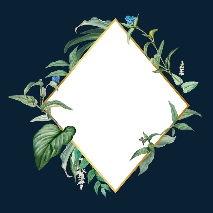 Free Vector empty frame with green leaves design vector