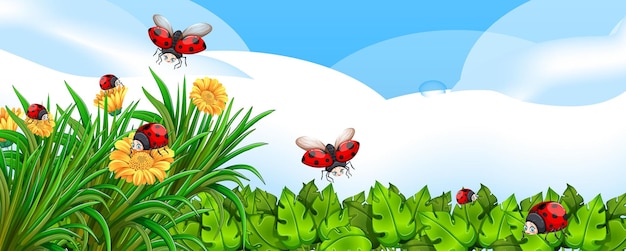 Empty nature illustration with many lady bugs