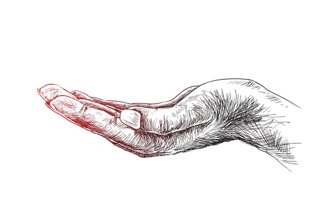 Open Hand Sketch Images - Free Download on Freepik