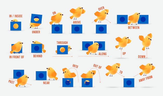 Free vector english prepositions for kids