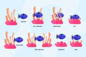 Бесплатное векторное изображение Английские предлоги с изображением рыбы