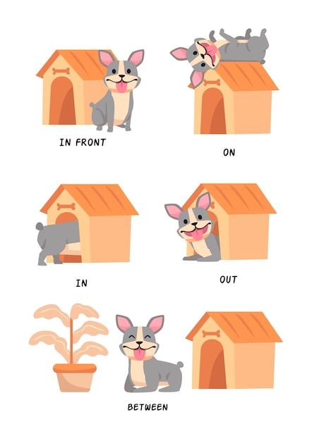 Free vector english prepositions