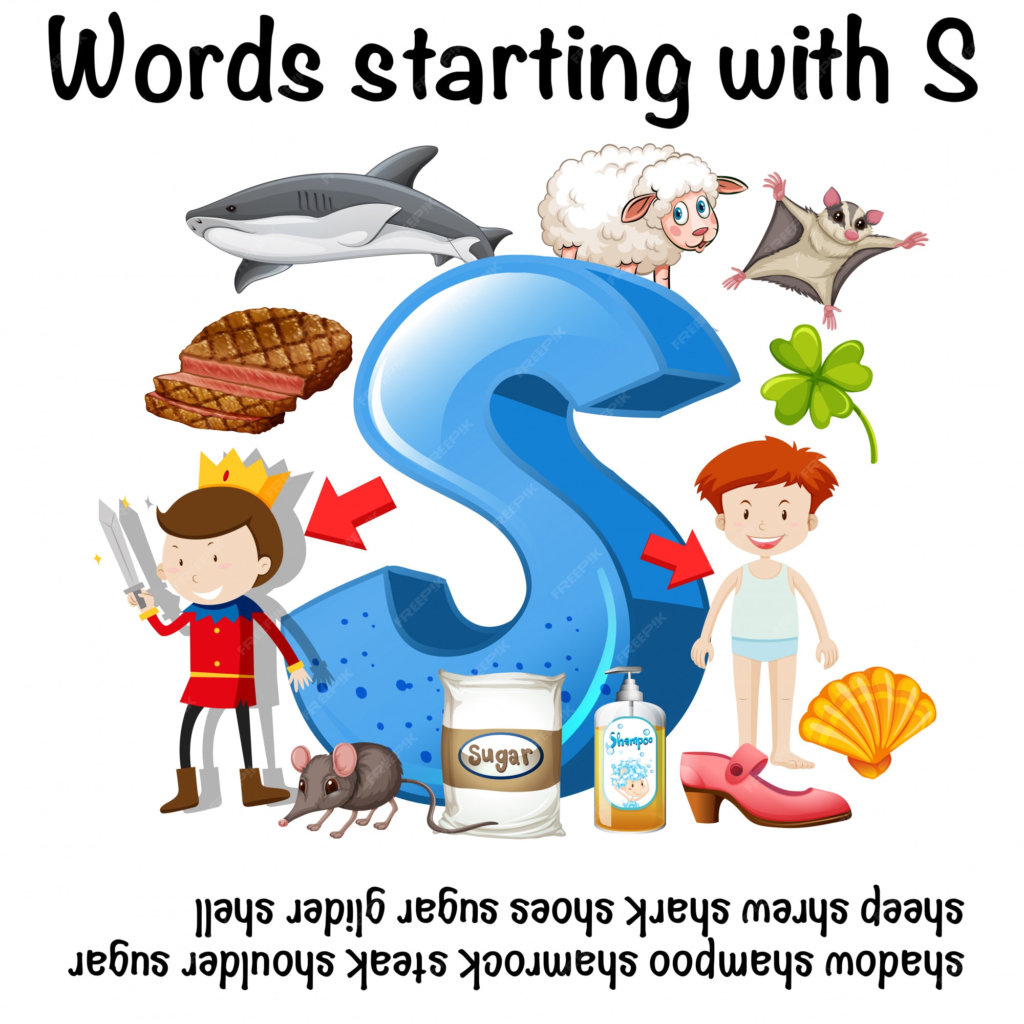 Sイラストで始まる英語の単語 プレミアムベクター