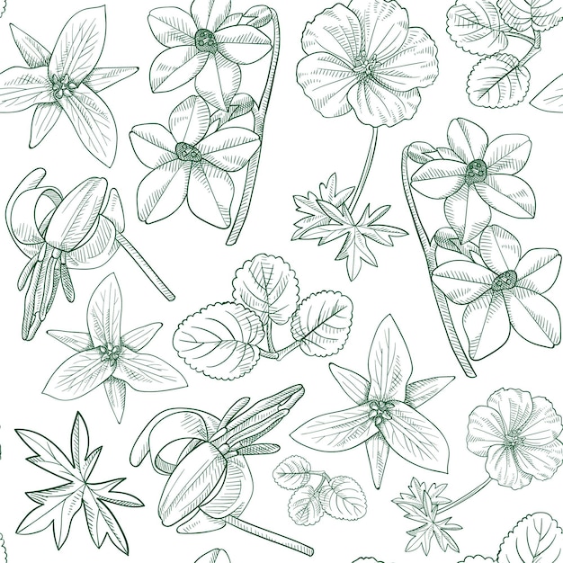 Free vector engraving hand drawn botanical pattern