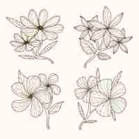 Free vector engraving hand drawn flower collection