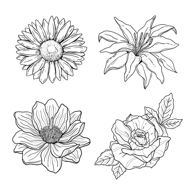 Vettore gratuito incisione collezione di fiori disegnati a mano