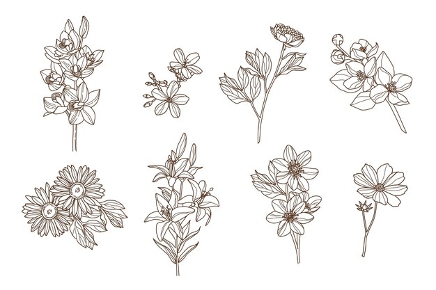 Free Vector engraving hand drawn flower collection