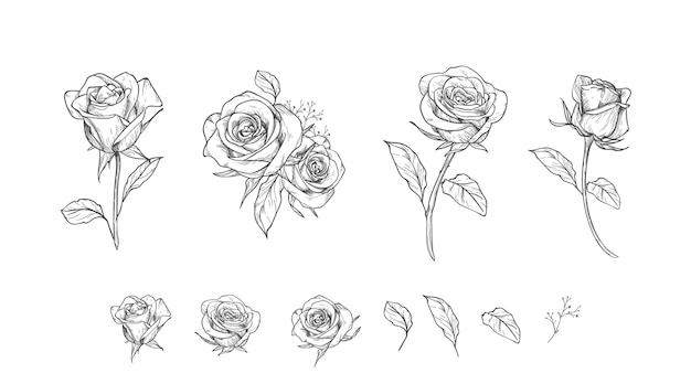 Free vector engraving hand drawn flower collection