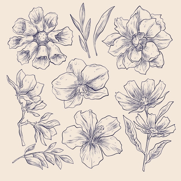 Free Vector engraving hand drawn flower set