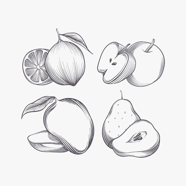 Free vector engraving hand drawn fruit collection