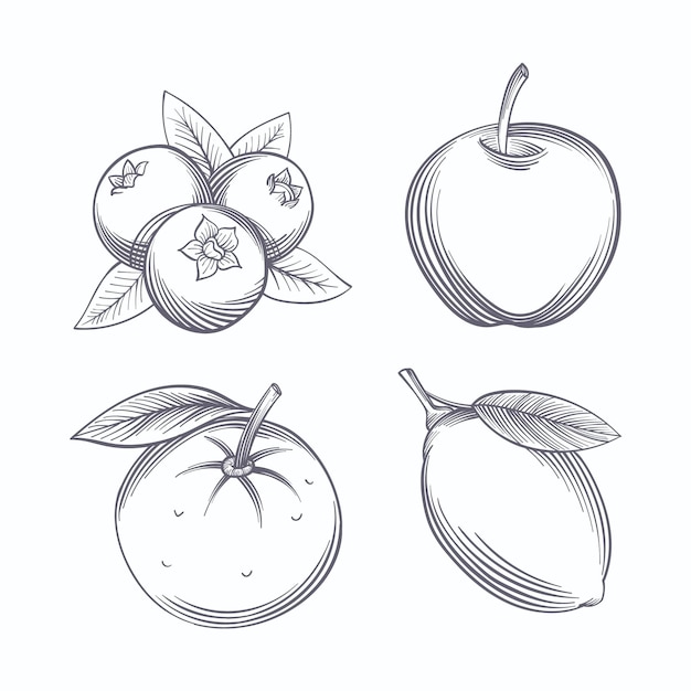 Free Vector engraving hand drawn fruit collection