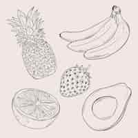 Free vector engraving hand drawn fruit collection