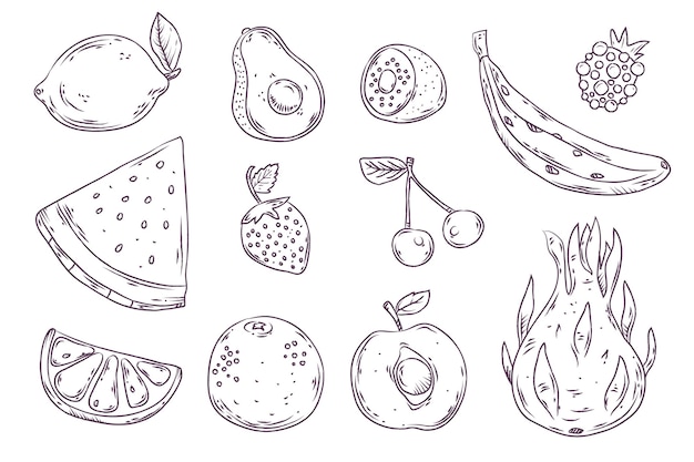 Free Vector engraving hand drawn fruit collection