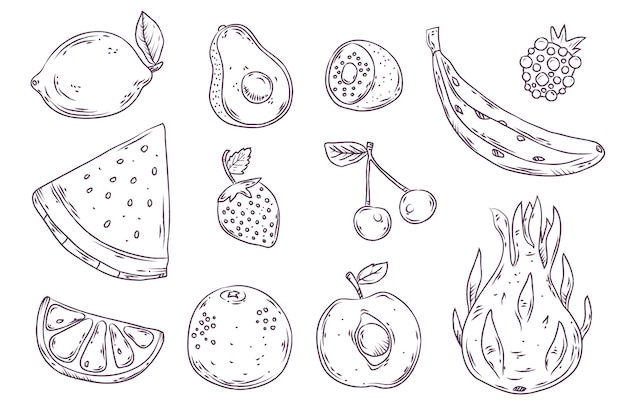 Engraving hand drawn fruit collection