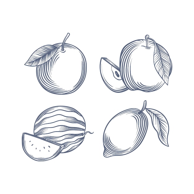 Free vector engraving hand drawn fruit collection