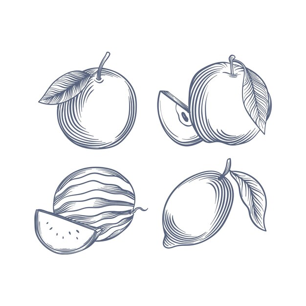 Engraving hand drawn fruit collection
