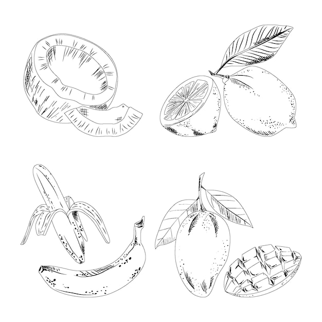 Гравюра рисованной коллекции фруктов