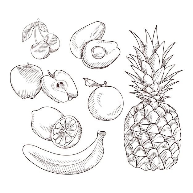 Free Vector engraving hand drawn fruit collection