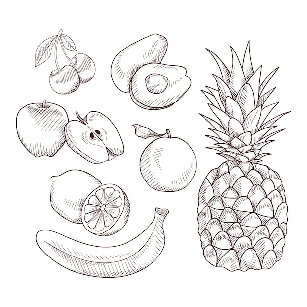 Engraving hand drawn fruit collection