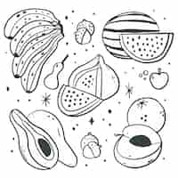 Free vector engraving hand drawn fruit set