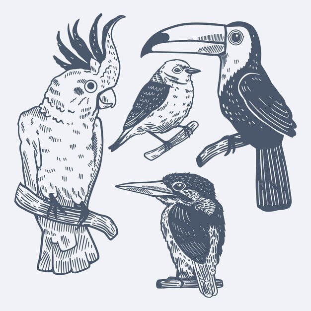 手描きの熱帯の鳥のコレクションを彫刻