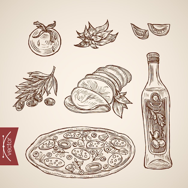 Free vector engraving vintage hand drawn  italian pizzeria food collection.