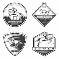 Vettore gratuito collezione di logo vintage equestre