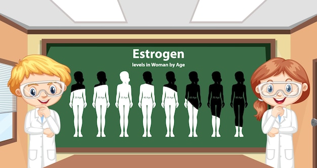 무료 벡터 연령별 여성의 에스트로겐 수치