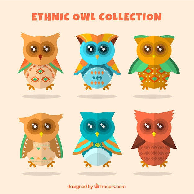 Free vector ethnic owl collection