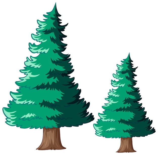 Evergreen pine trees vector illustration