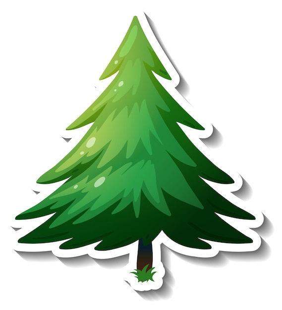 Un adesivo albero sempreverde su sfondo bianco