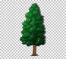 Free vector an evergreen tree on transparent background