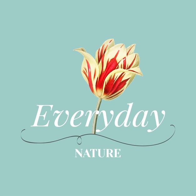 Free vector everyday nature logo design vector