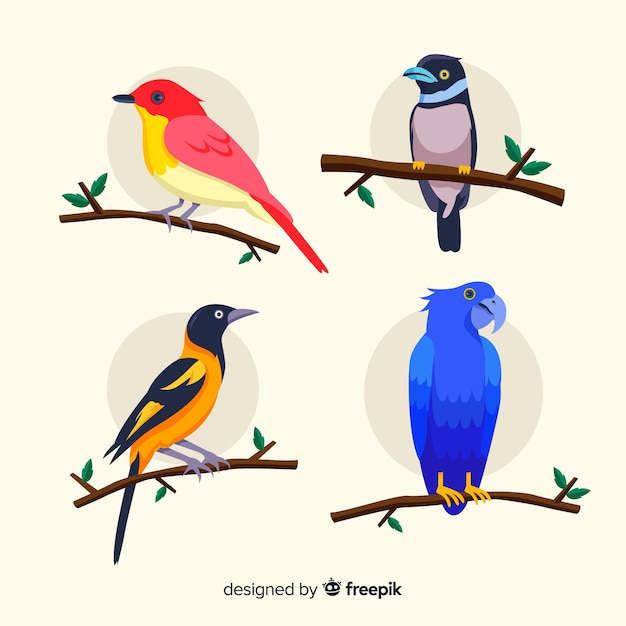 Коллекция экзотических птиц плоский дизайн