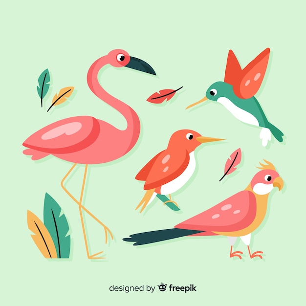 Exotic bird collection flat style