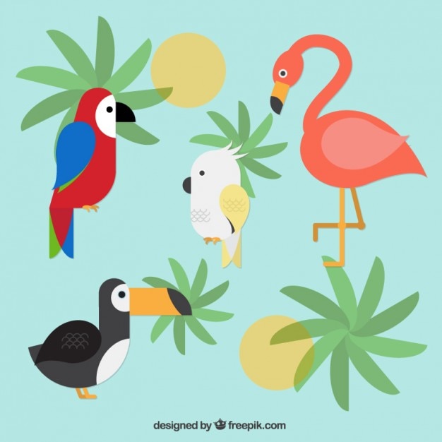 Free vector exotic birds collection