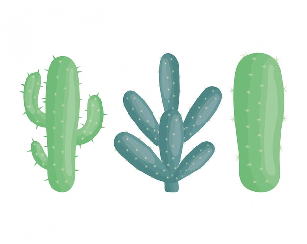 Free vector exotic cactus plants in ceramic pots