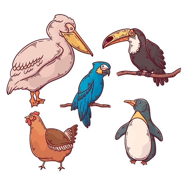 Exotic and domestic birds collection