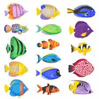 Free vector exotic fish set