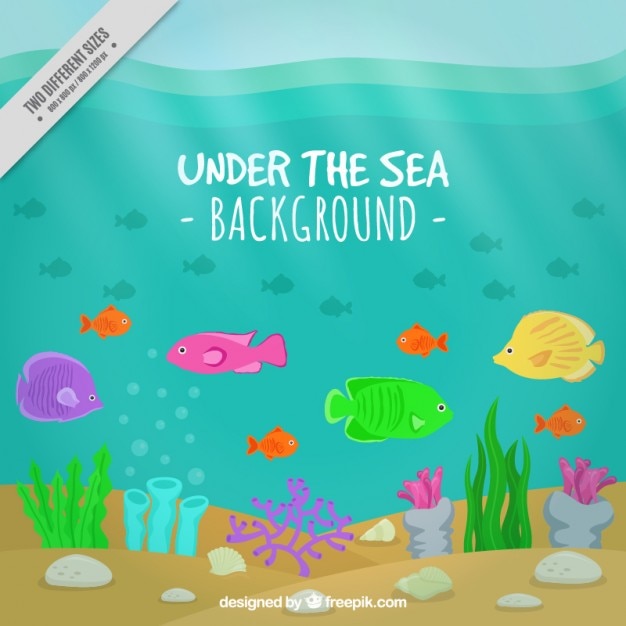 Exotic fishes and seaweeds under the sea background